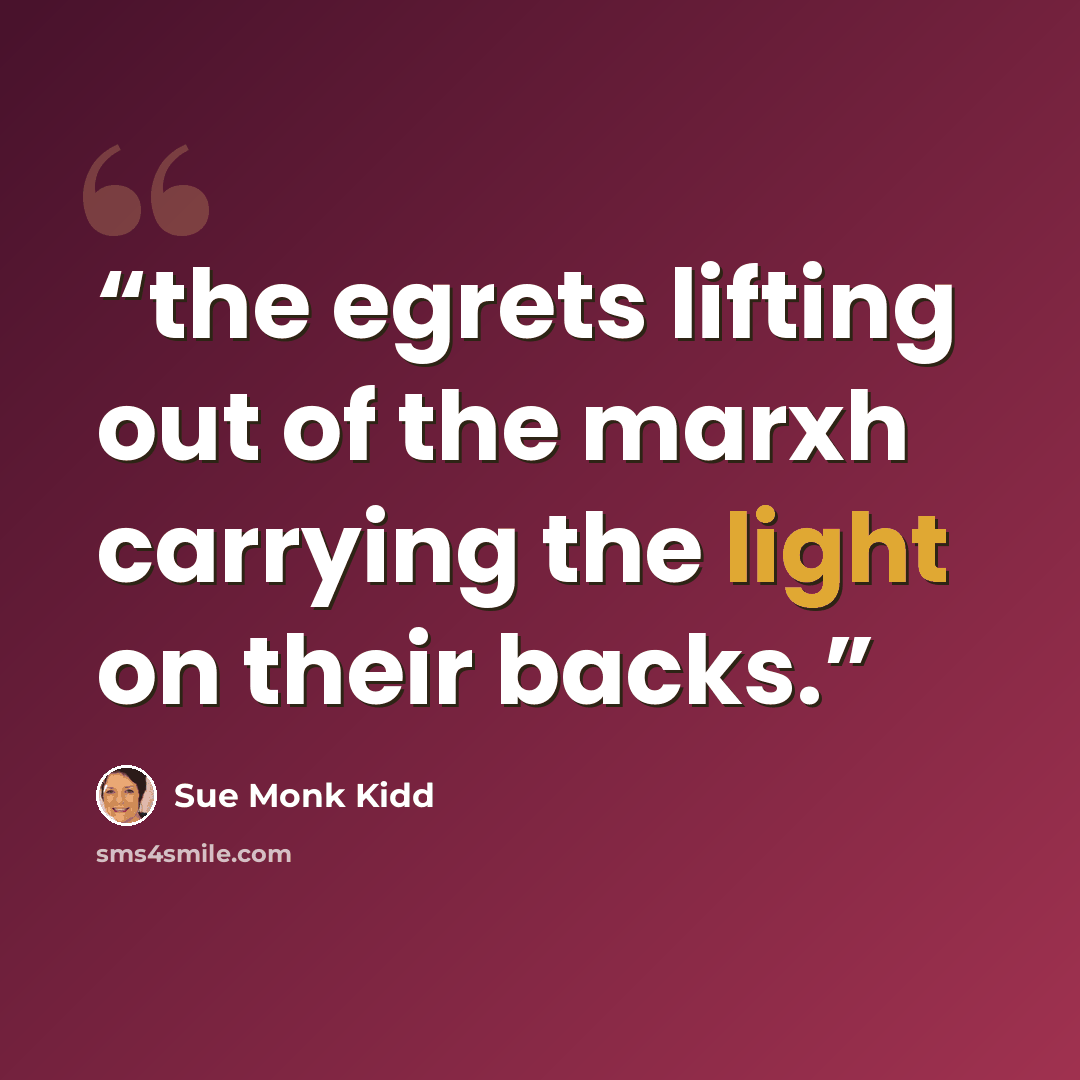 “the egrets lifting out of the marxh carrying the light on their backs.” quote by Sue Monk Kidd