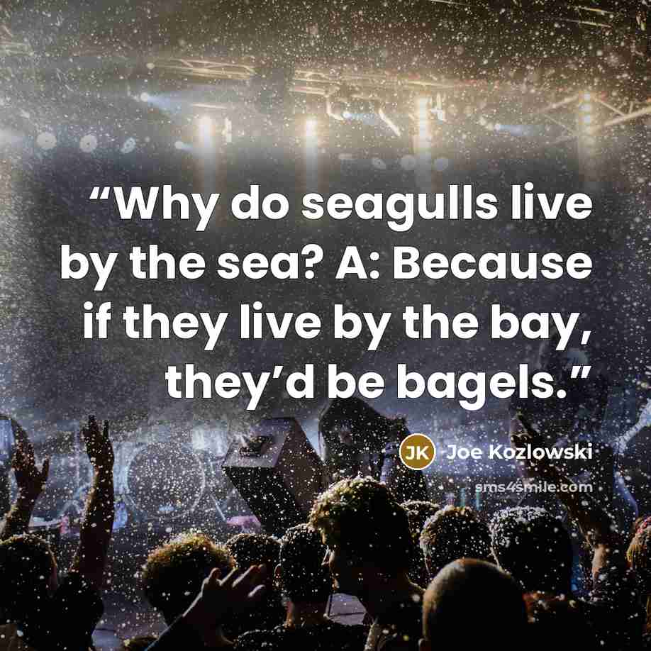 “Why do seagulls live by the sea? A: Because if they live by the bay, they’d be bagels.” quote by Joe Kozlowski