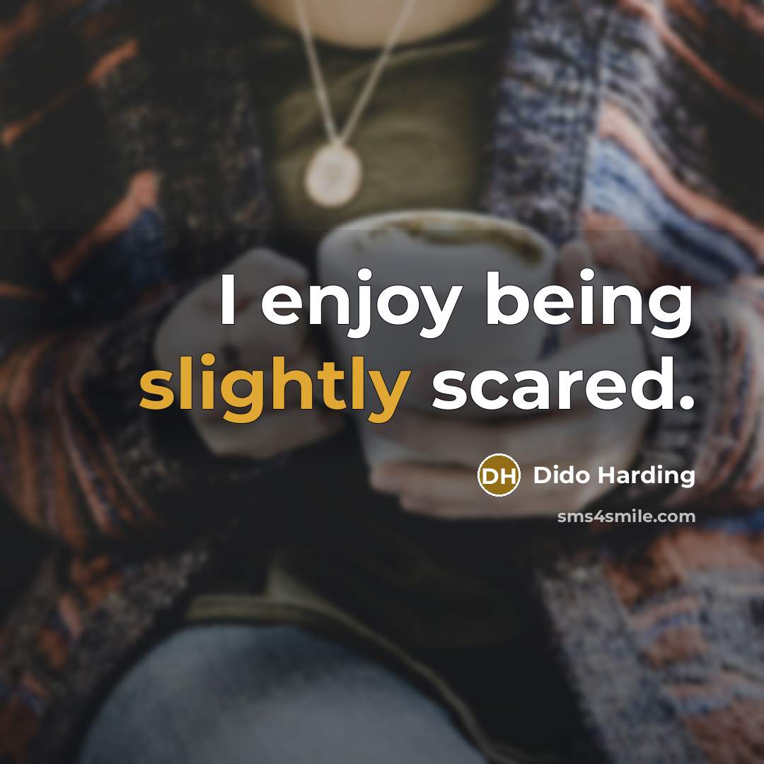 “I enjoy being slightly scared.” quote by Dido Harding