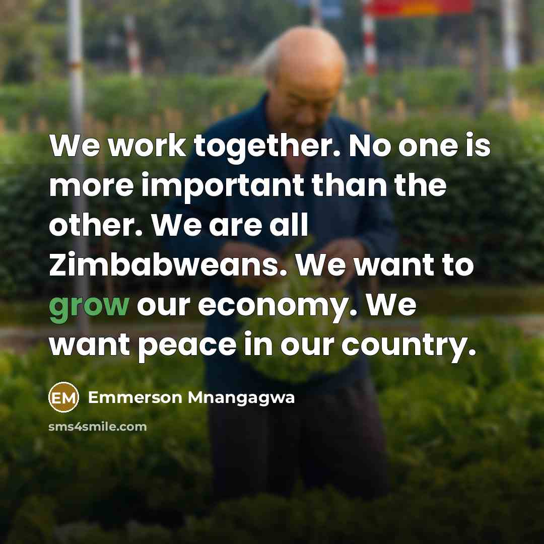 “We work together. No one is more important than the other. We are all Zimbabweans. We want to grow our economy. We want peace in our country.” quote by Emmerson Mnangagwa