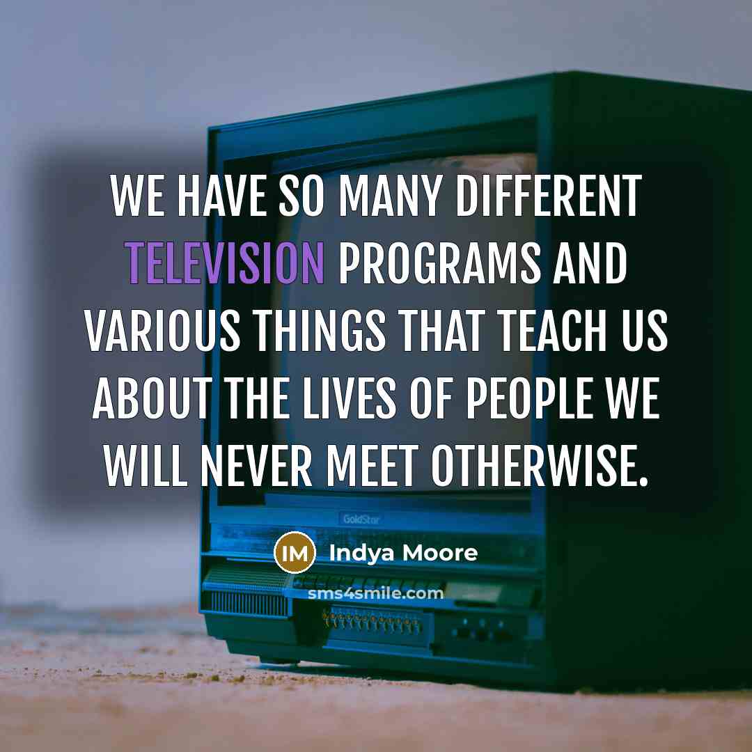 “We have so many different television programs and various things that teach us about the lives of people we will never meet otherwise.” quote by Indya Moore