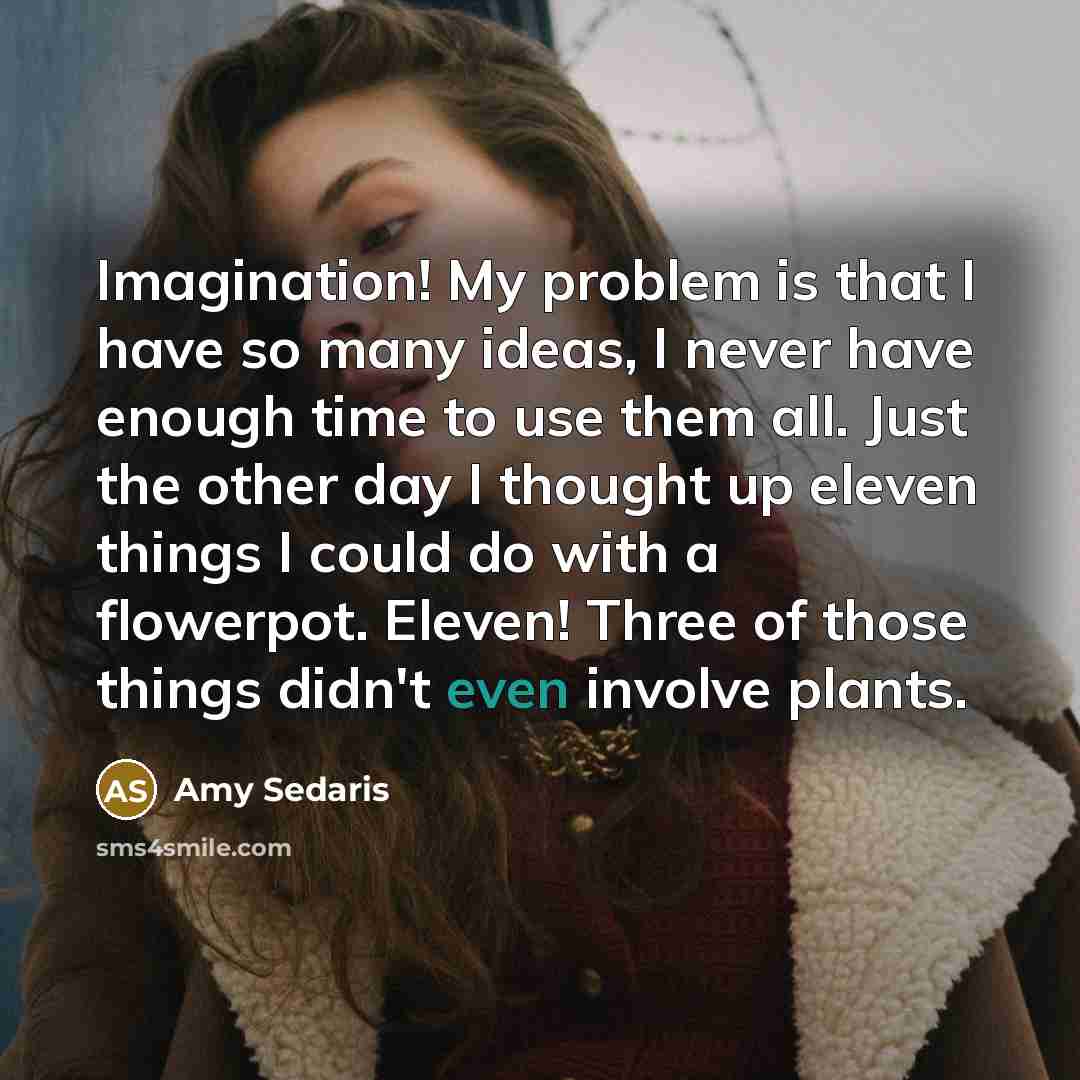 “Imagination! My problem is that I have so many ideas, I never have enough time to use them all. Just the other day I thought up eleven things I could do with a flowerpot. Eleven! Three of those things didn't even involve plants.” quote by Amy Sedaris