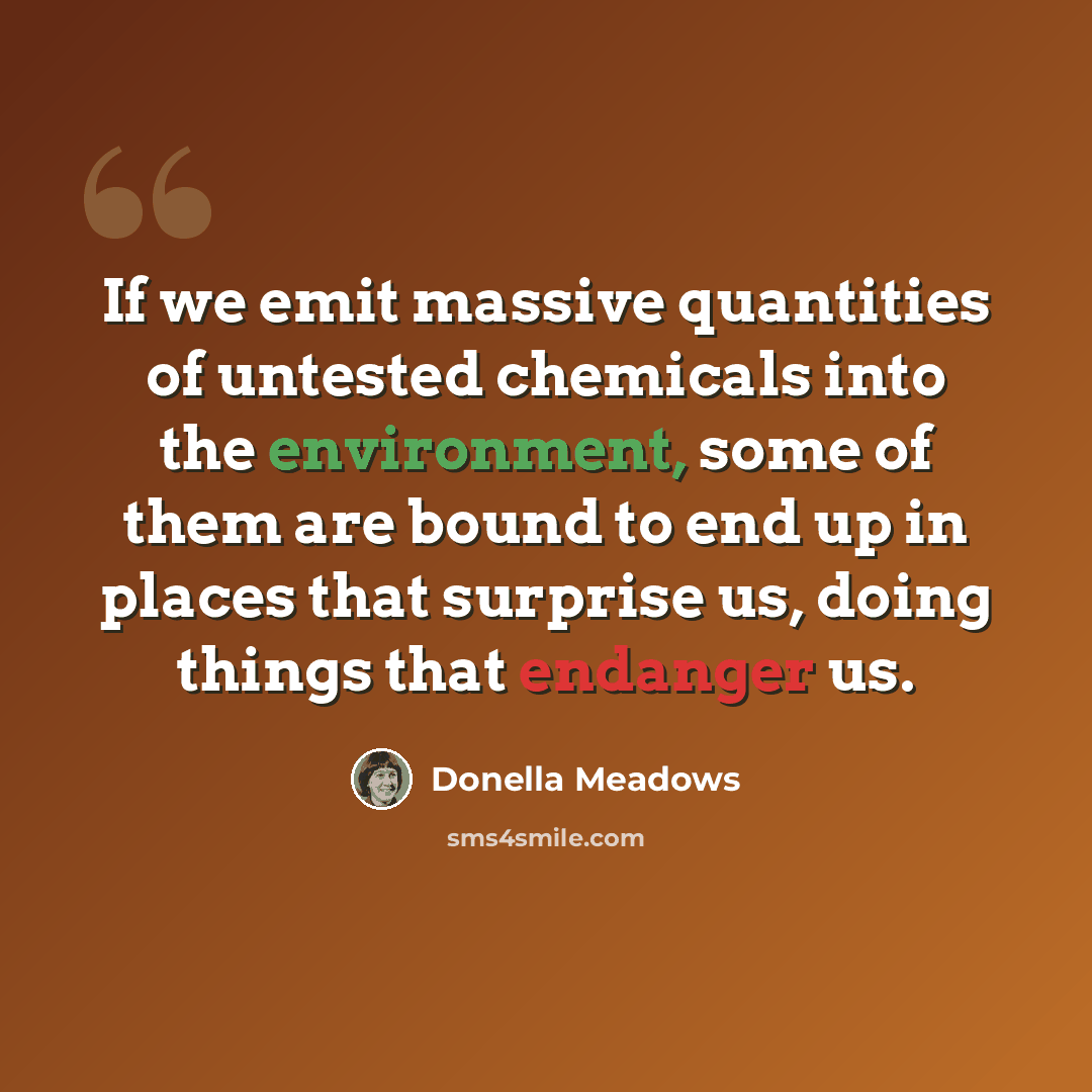 “If we emit massive quantities of untested chemicals into the environment, some of them are bound to end up in places that surprise us, doing things that endanger us.” quote by Donella Meadows