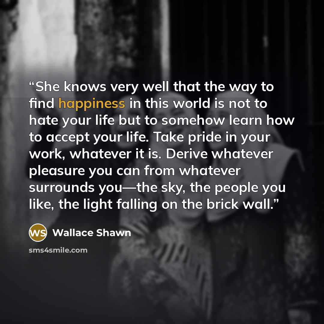 “She knows very well that the way to find happiness in this world is not to hate your life but to somehow learn how to accept your life. Take pride in your work, whatever it is. Derive whatever pleasure you can from whatever surrounds you—the sky, the people you like, the light falling on the brick…” quote by Wallace Shawn