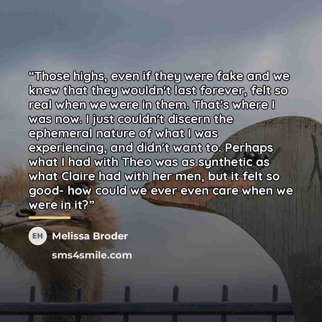“Those highs, even if they were fake and we knew that they wouldn't last forever, felt so real when we were in them. That's where I was now. I just couldn't discern the ephemeral nature of what I was experiencing, and didn't want to. Perhaps what I had with Theo was as synthetic as what Claire had…” quote by Melissa Broder