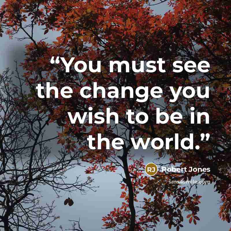 “You must see the change you wish to be in the world.” quote by Robert Jones