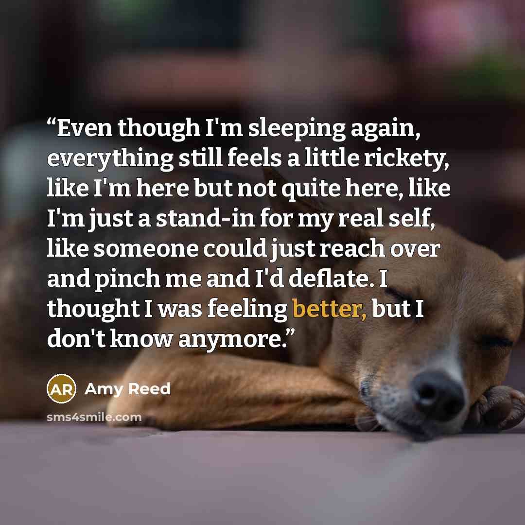 “Even though I'm sleeping again, everything still feels a little rickety, like I'm here but not quite here, like I'm just a stand-in for my real self, like someone could just reach over and pinch me and I'd deflate. I thought I was feeling better, but I don't know anymore.” quote by Amy Reed