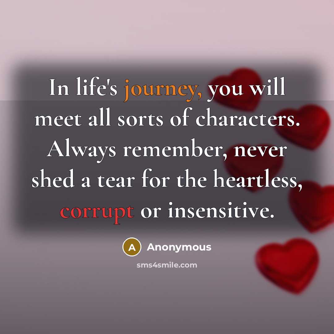 “In life's journey, you will meet all sorts of characters. Always remember, never shed a tear for the heartless, corrupt or insensitive.” quote by Anonymous