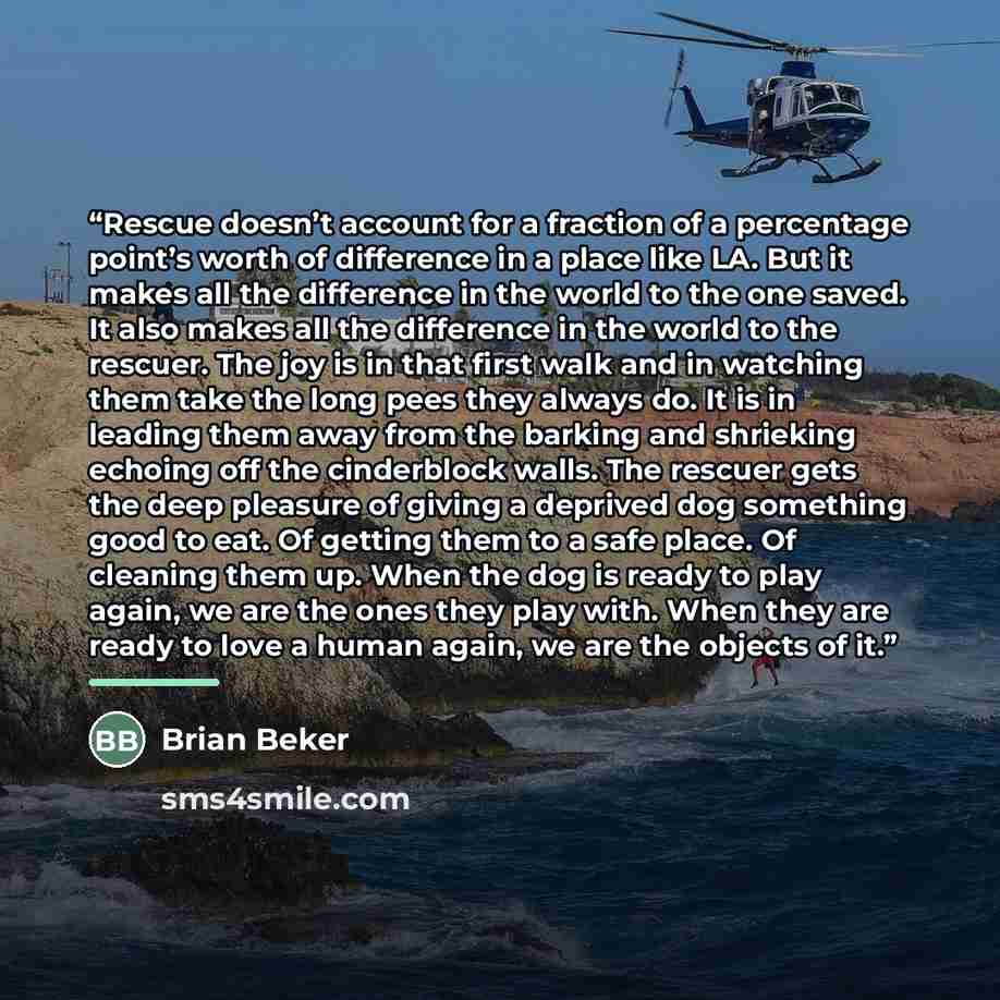 “Rescue doesn’t account for a fraction of a percentage point’s worth of difference in a place like LA. But it makes all the difference in the world to the one saved. It also makes all the difference in the world to the rescuer. The joy is in that first walk and in watching them take the long pees…” quote by Brian Beker