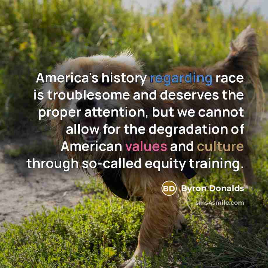 “America's history regarding race is troublesome and deserves the proper attention, but we cannot allow for the degradation of American values and culture through so-called equity training.” quote by Byron Donalds