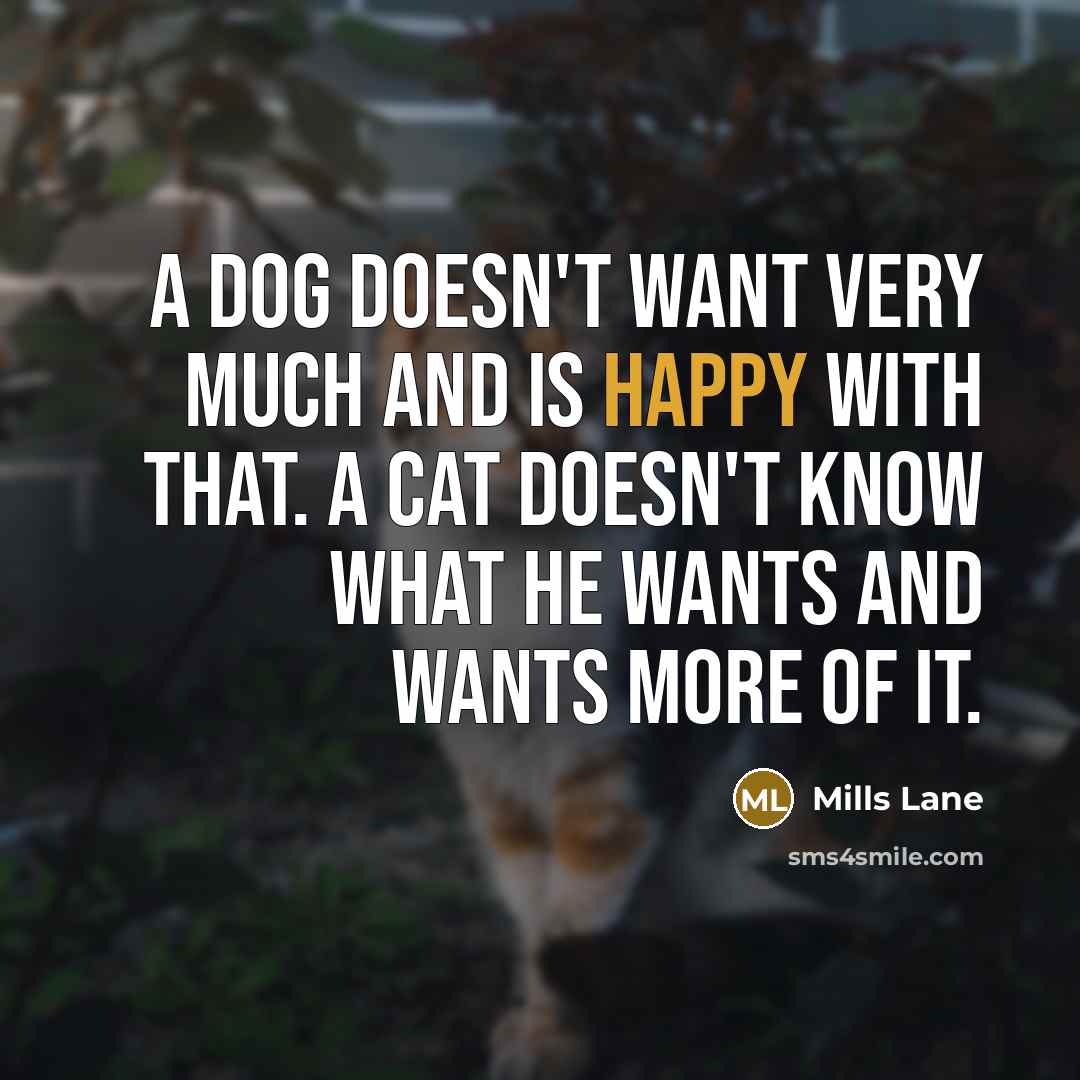 “A dog doesn't want very much and is happy with that. A cat doesn't know what he wants and wants more of it.” quote by Mills Lane