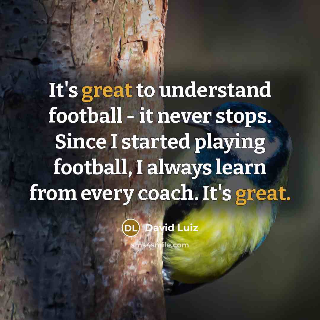 “It's great to understand football - it never stops. Since I started playing football, I always learn from every coach. It's great.” quote by David Luiz
