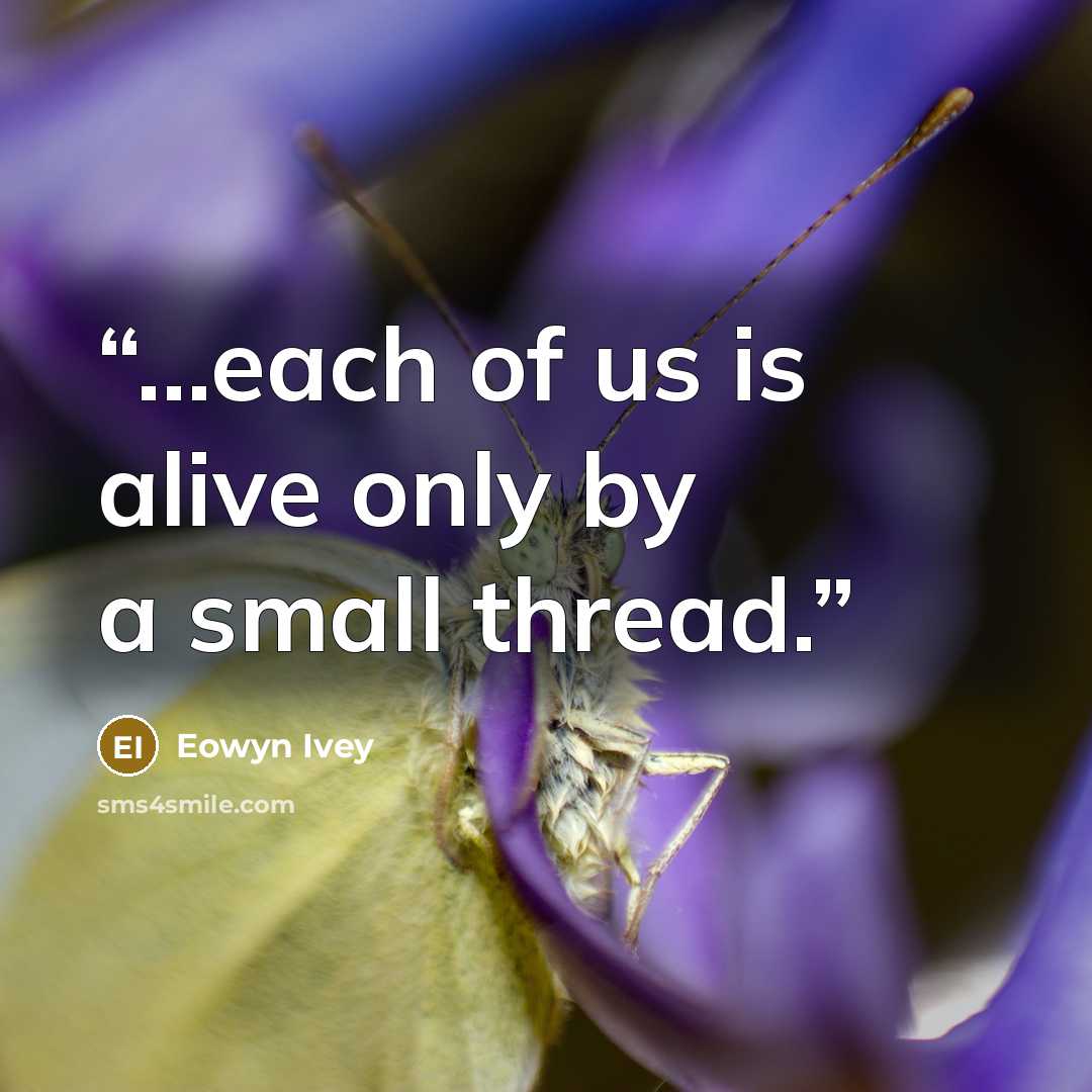 “...each of us is alive only by a small thread.” quote by Eowyn Ivey