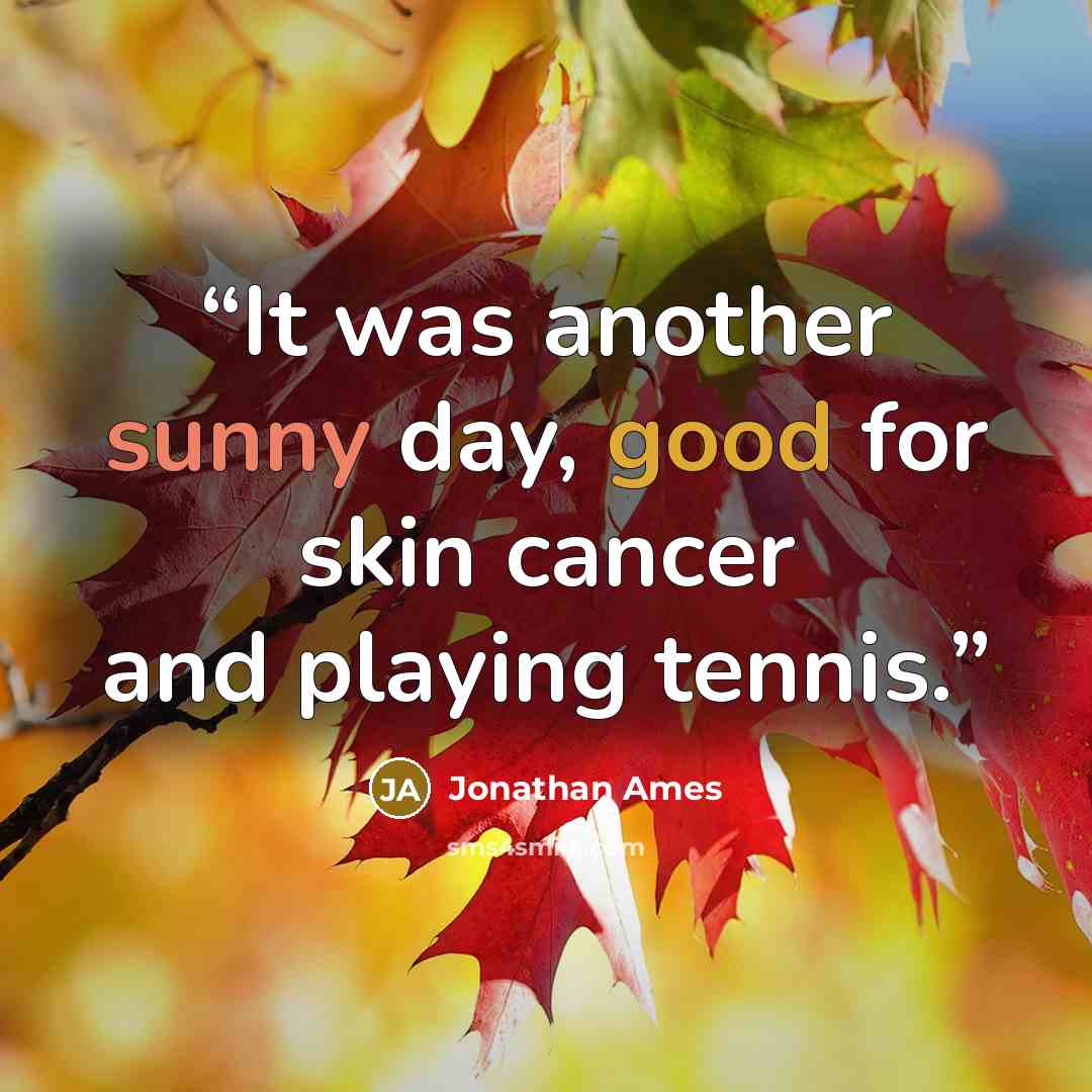 “It was another sunny day, good for skin cancer and playing tennis.” quote by Jonathan Ames