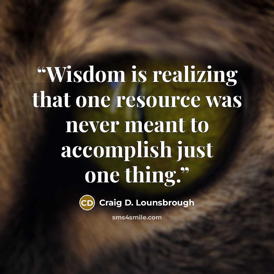 “Wisdom is realizing that one resource was never meant to accomplish just one thing.” quote by Craig D. Lounsbrough