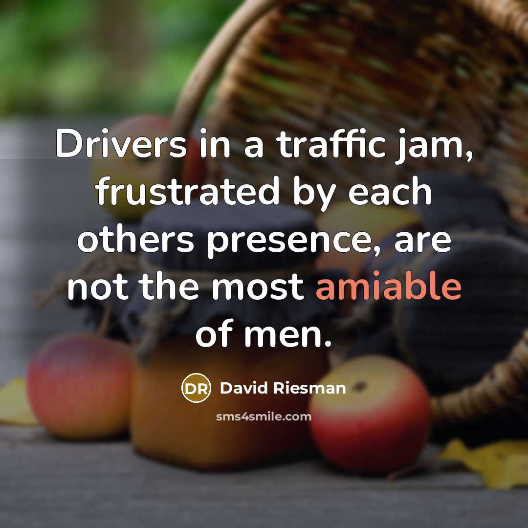 “Drivers in a traffic jam, frustrated by each others presence, are not the most amiable of men.” quote by David Riesman