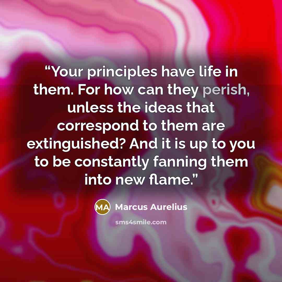 “Your principles have life in them. For how can they perish, unless the ideas that correspond to them are extinguished? And it is up to you to be constantly fanning them into new flame.” quote by Marcus Aurelius