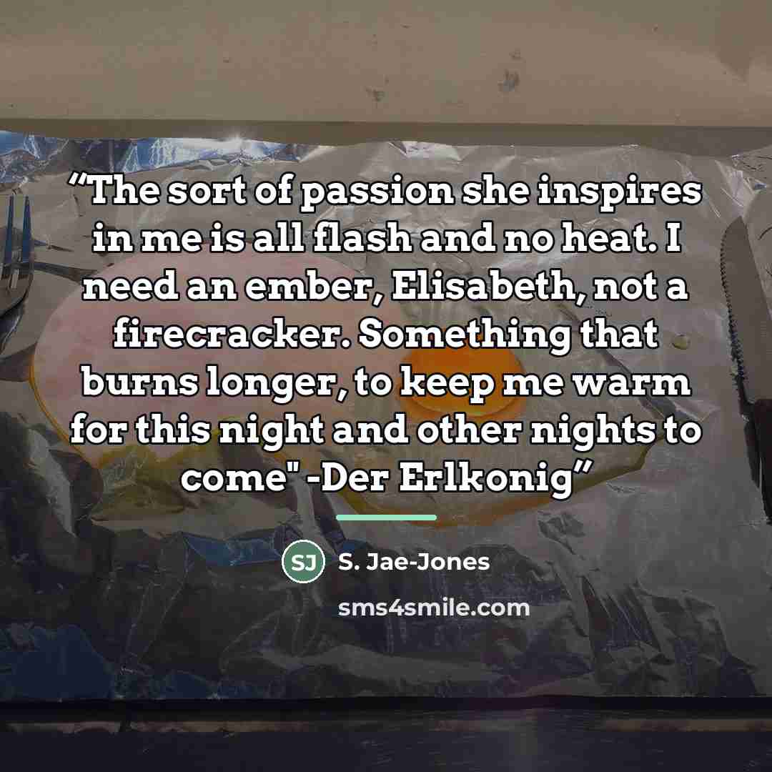 “The sort of passion she inspires in me is all flash and no heat. I need an ember, Elisabeth, not a firecracker. Something that burns longer, to keep me warm for this night and other nights to come" -Der Erlkonig” quote by S. Jae-Jones