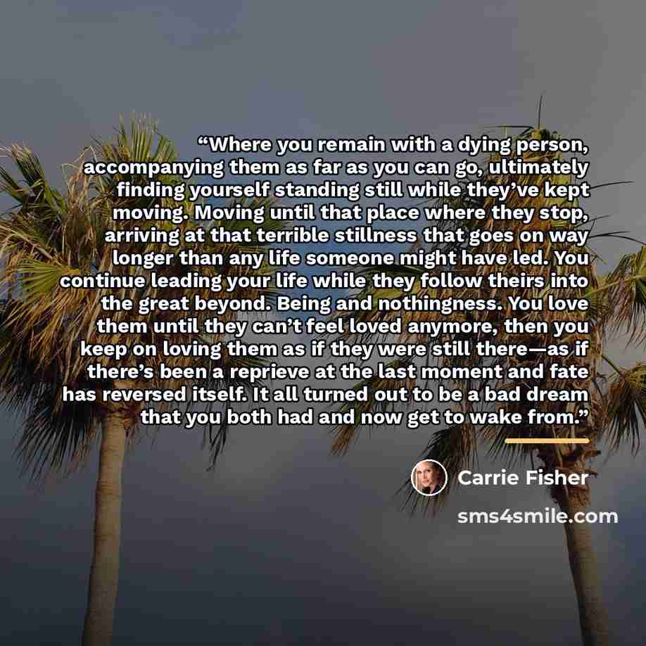 “Where you remain with a dying person, accompanying them as far as you can go, ultimately finding yourself standing still while they’ve kept moving. Moving until that place where they stop, arriving at that terrible stillness that goes on way longer than any life someone might have led. You…” quote by Carrie Fisher