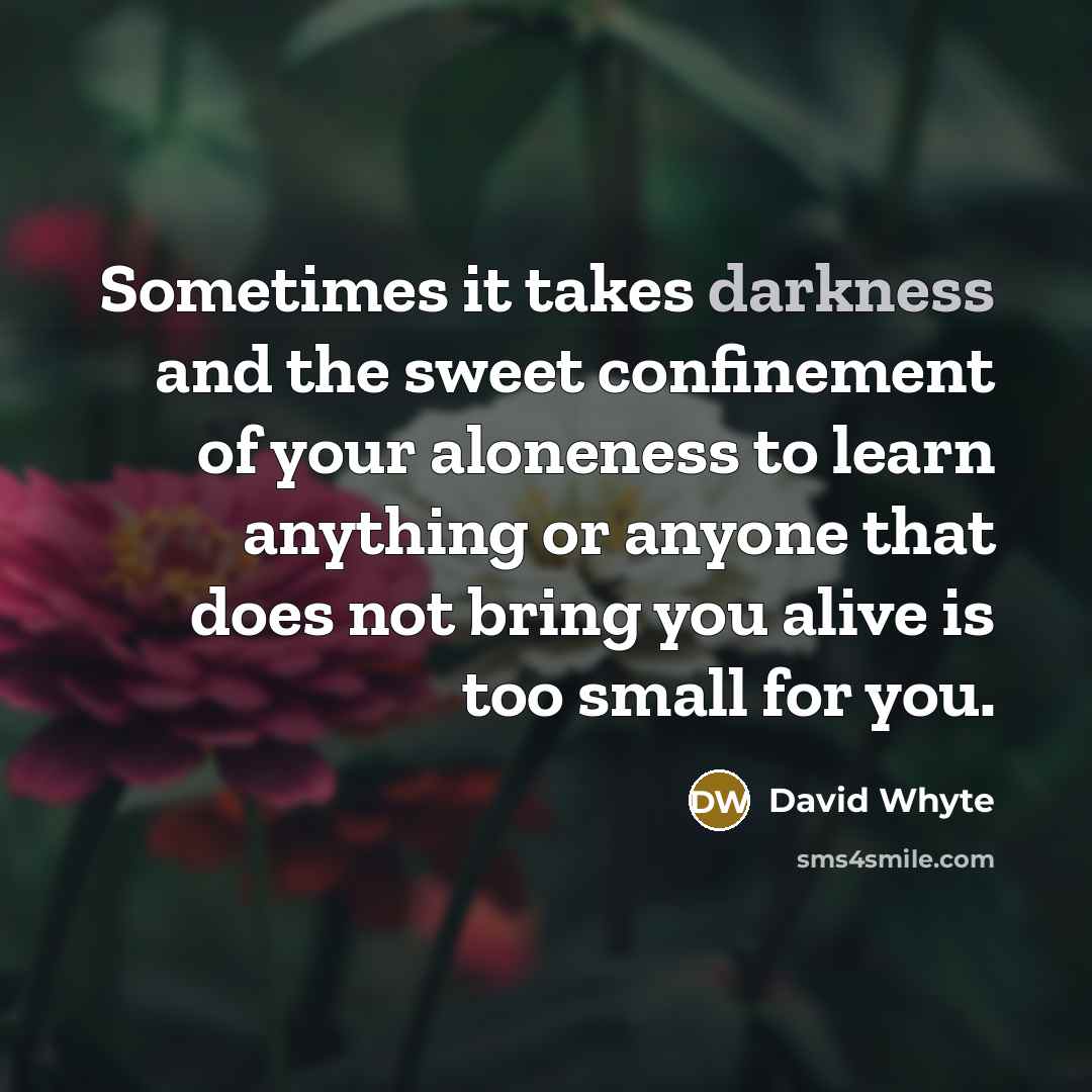 “Sometimes it takes darkness and the sweet confinement of your aloneness to learn anything or anyone that does not bring you alive is too small for you.” quote by David Whyte