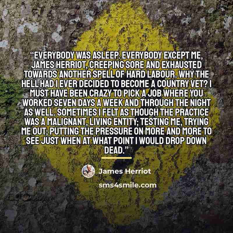 “Everybody was asleep. Everybody except me, James Herriot, creeping sore and exhausted towards another spell of hard labour. Why the hell had I ever decided to become a country vet? I must have been crazy to pick a job where you worked seven days a week and through the night as well. Sometimes I…” quote by James Herriot