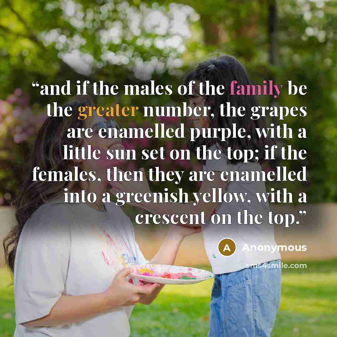 “and if the males of the family be the greater number, the grapes are enamelled purple, with a little sun set on the top; if the females, then they are enamelled into a greenish yellow, with a crescent on the top.” quote by Anonymous