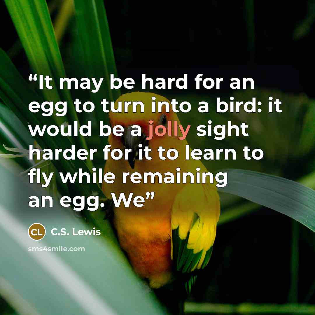 “It may be hard for an egg to turn into a bird: it would be a jolly sight harder for it to learn to fly while remaining an egg. We” quote by C.S. Lewis