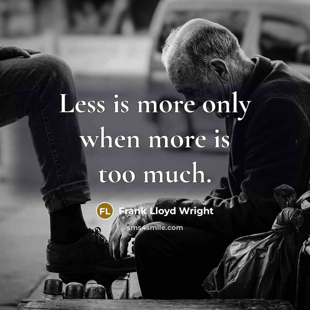 “Less is more only when more is too much.” quote by Frank Lloyd Wright