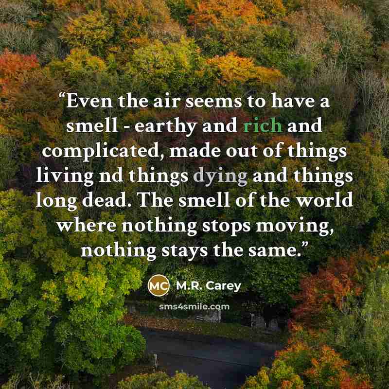“Even the air seems to have a smell - earthy and rich and complicated, made out of things living nd things dying and things long dead. The smell of the world where nothing stops moving, nothing stays the same.” quote by M.R. Carey