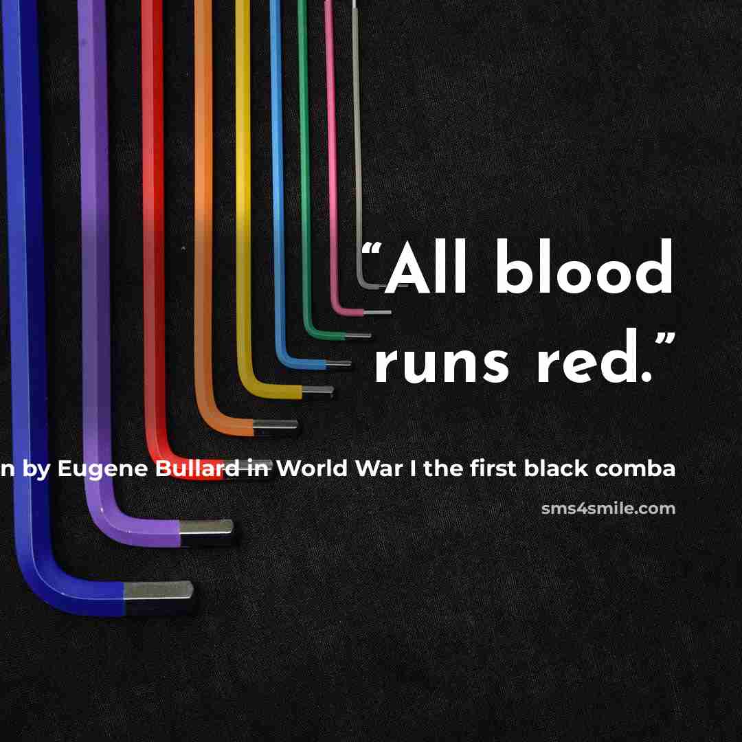 “All blood runs red.” quote by Phrase painted on the side of the plane flown by Eugene Bullard in World War I the first black comba