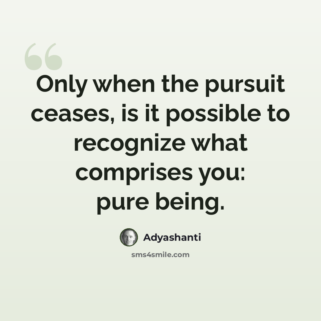 “Only when the pursuit ceases, is it possible to recognize what comprises you: pure being.” quote by Adyashanti