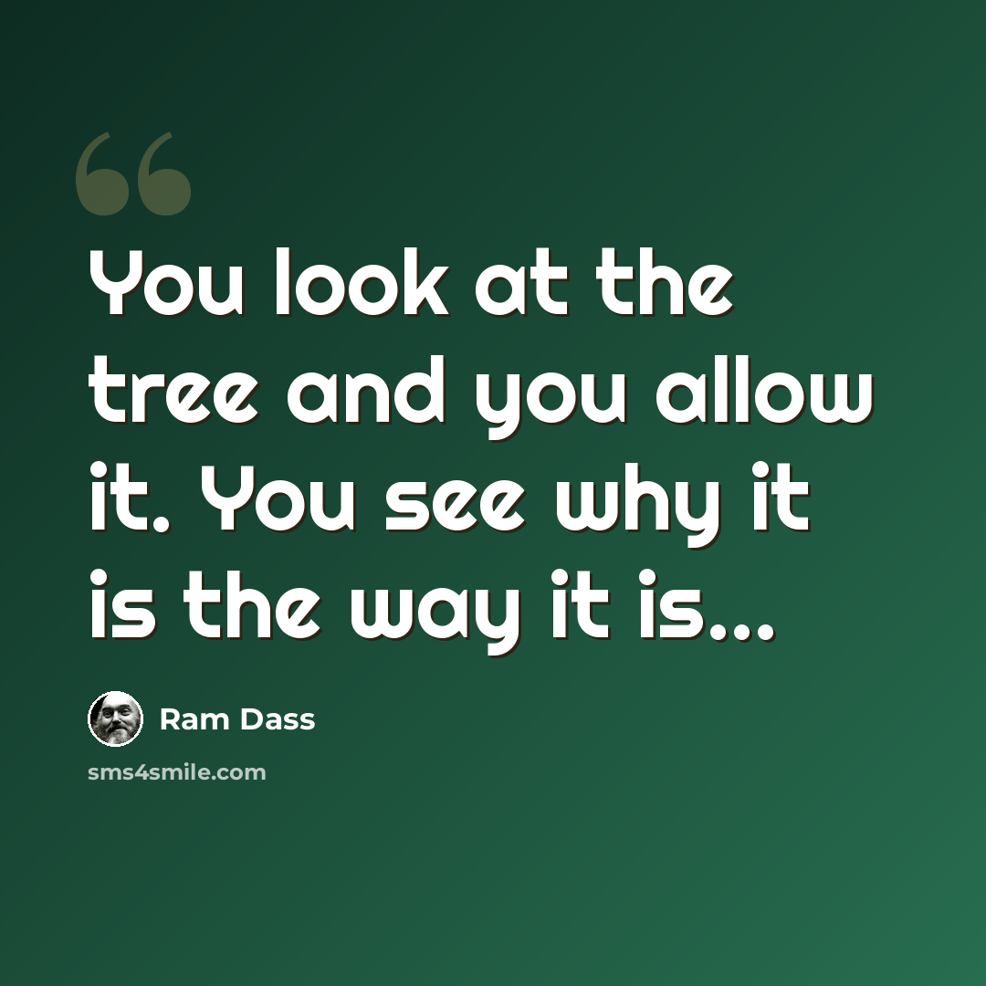 “You look at the tree and you allow it. You see why it is the way it is...” quote by Ram Dass