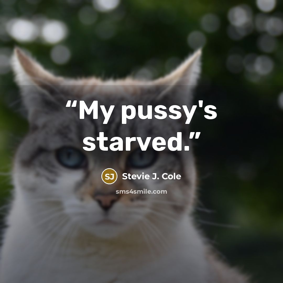 “My pussy's starved.” quote by Stevie J. Cole