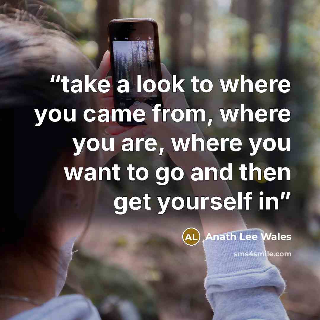 “take a look to where you came from, where you are, where you want to go and then get yourself in” quote by Anath Lee Wales