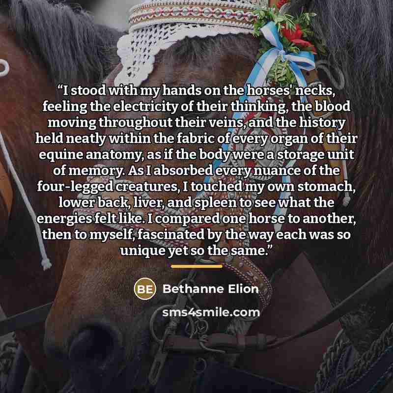 “I stood with my hands on the horses' necks, feeling the electricity of their thinking, the blood moving throughout their veins, and the history held neatly within the fabric of every organ of their equine anatomy, as if the body were a storage unit of memory. As I absorbed every nuance of the…” quote by Bethanne Elion