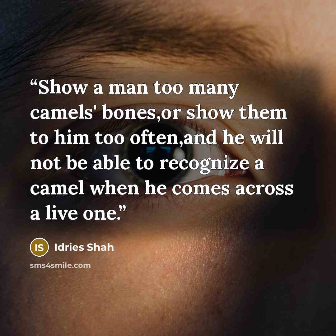 “Show a man too many camels' bones,or show them to him too often,and he will not be able to recognize a camel when he comes across a live one.” quote by Idries Shah