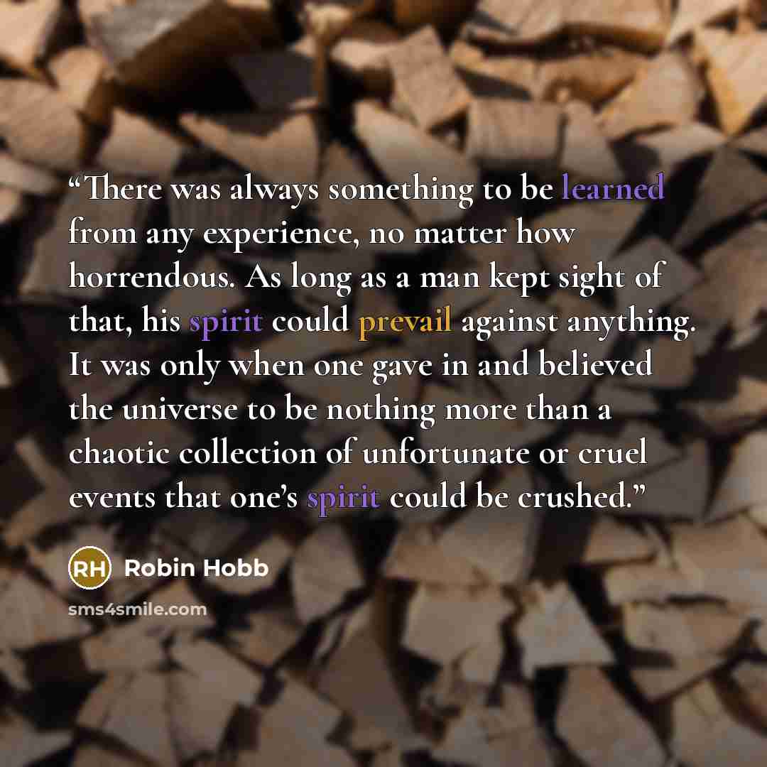 “There was always something to be learned from any experience, no matter how horrendous. As long as a man kept sight of that, his spirit could prevail against anything. It was only when one gave in and believed the universe to be nothing more than a chaotic collection of unfortunate or cruel events…” quote by Robin Hobb
