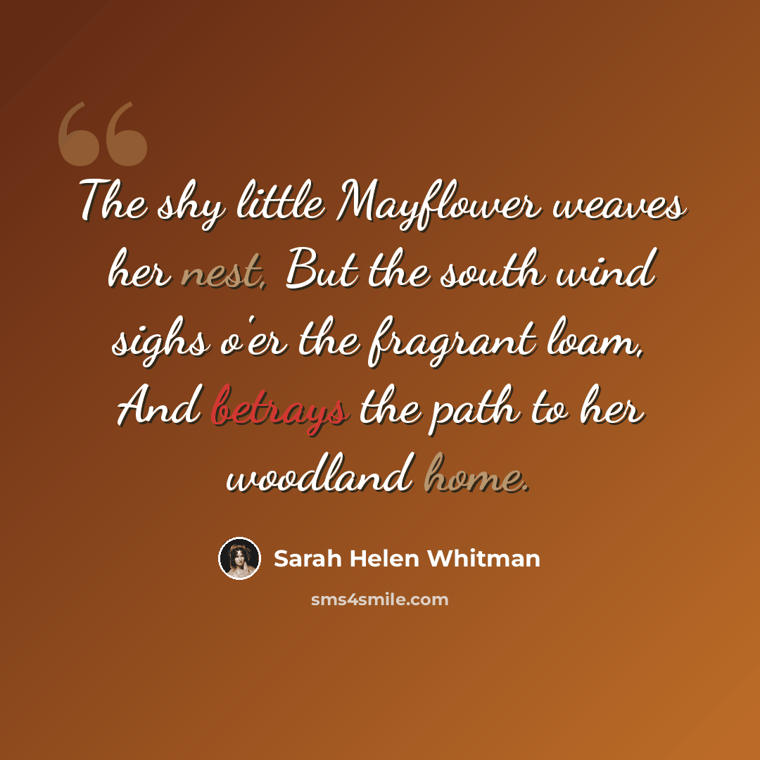 “The shy little Mayflower weaves her nest, But the south wind sighs o'er the fragrant loam, And betrays the path to her woodland home.” quote by Sarah Helen Whitman