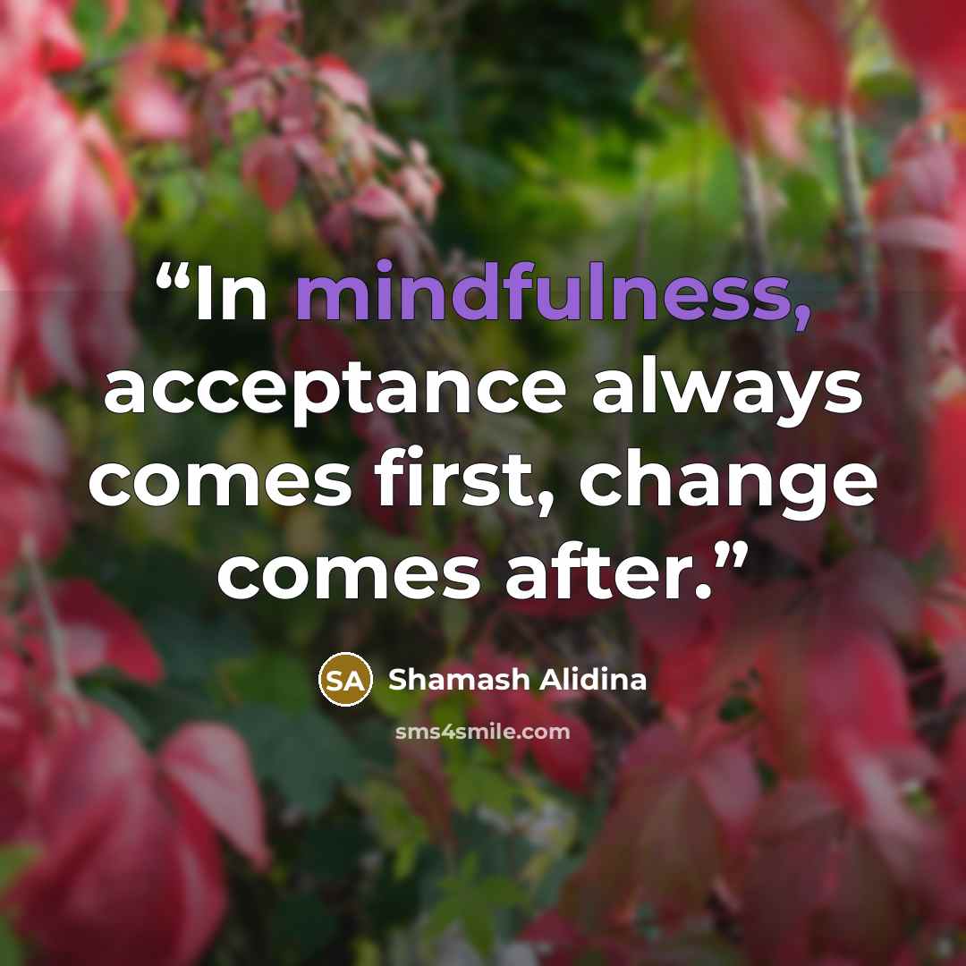 “In mindfulness, acceptance always comes first, change comes after.” quote by Shamash Alidina