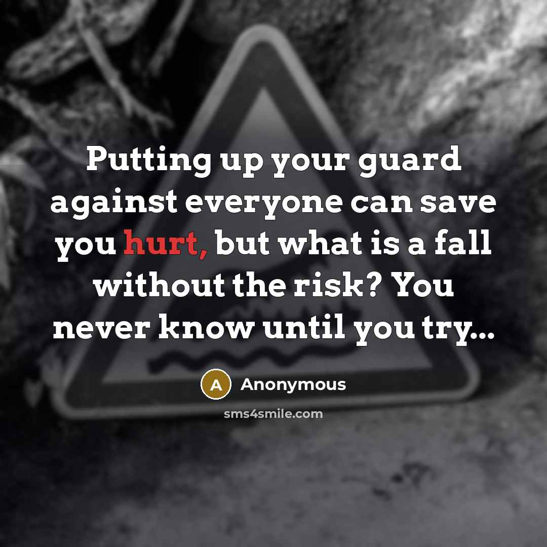 “Putting up your guard against everyone can save you hurt, but what is a fall without the risk? You never know until you try...” quote by Anonymous