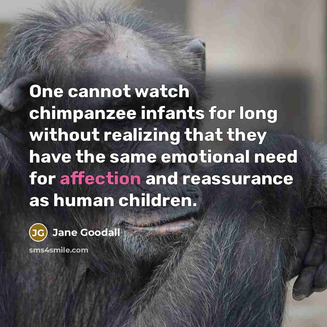 “One cannot watch chimpanzee infants for long without realizing that they have the same emotional need for affection and reassurance as human children.” quote by Jane Goodall