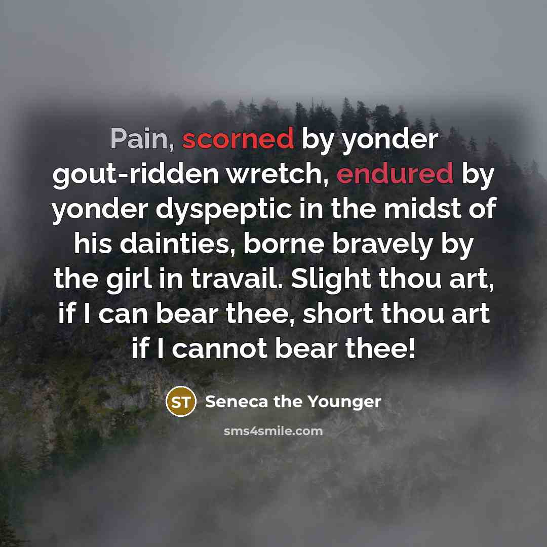 “Pain, scorned by yonder gout-ridden wretch, endured by yonder dyspeptic in the midst of his dainties, borne bravely by the girl in travail. Slight thou art, if I can bear thee, short thou art if I cannot bear thee!” quote by Seneca the Younger