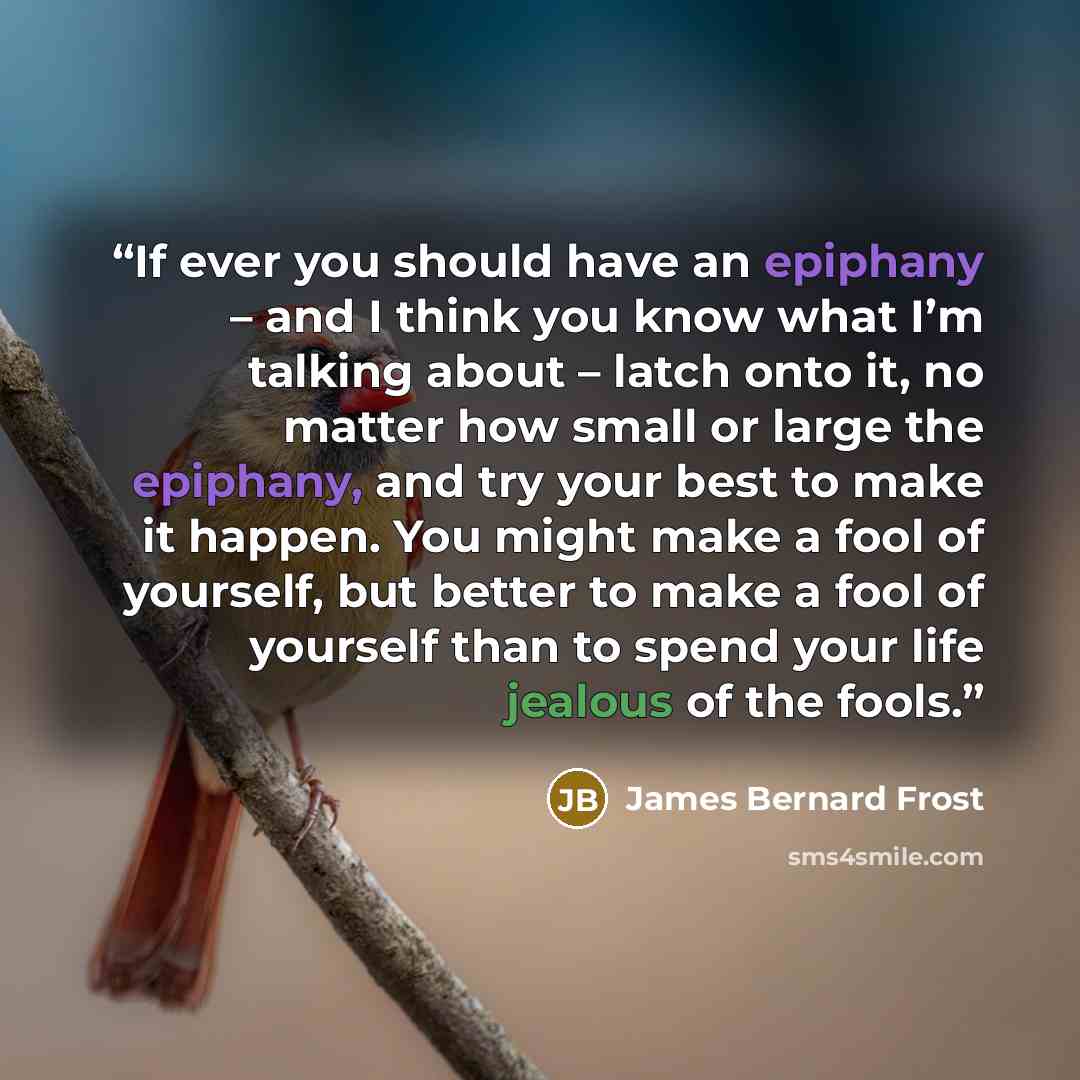 “If ever you should have an epiphany – and I think you know what I’m talking about – latch onto it, no matter how small or large the epiphany, and try your best to make it happen. You might make a fool of yourself, but better to make a fool of yourself than to spend your life jealous of the fools.” quote by James Bernard Frost