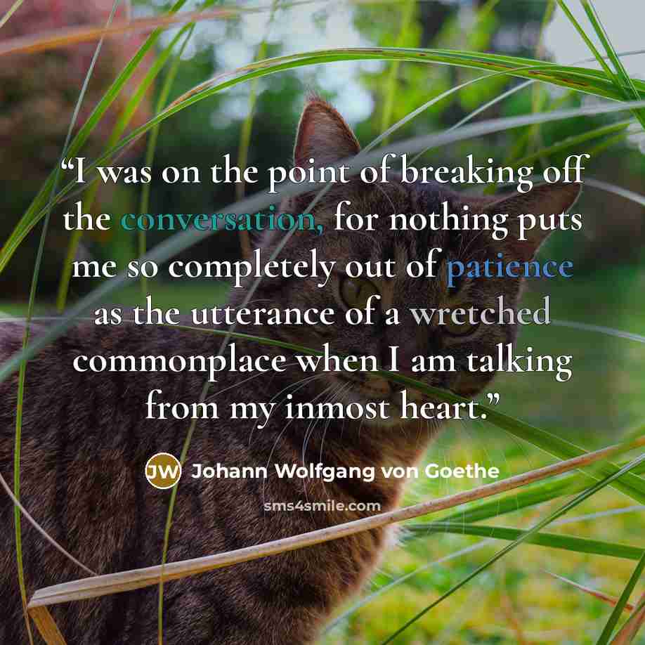 “I was on the point of breaking off the conversation, for nothing puts me so completely out of patience as the utterance of a wretched commonplace when I am talking from my inmost heart.” quote by Johann Wolfgang von Goethe