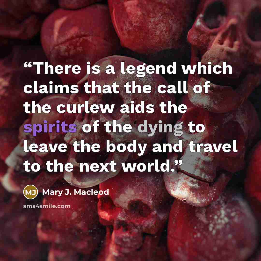 “There is a legend which claims that the call of the curlew aids the spirits of the dying to leave the body and travel to the next world.” quote by Mary J. Macleod