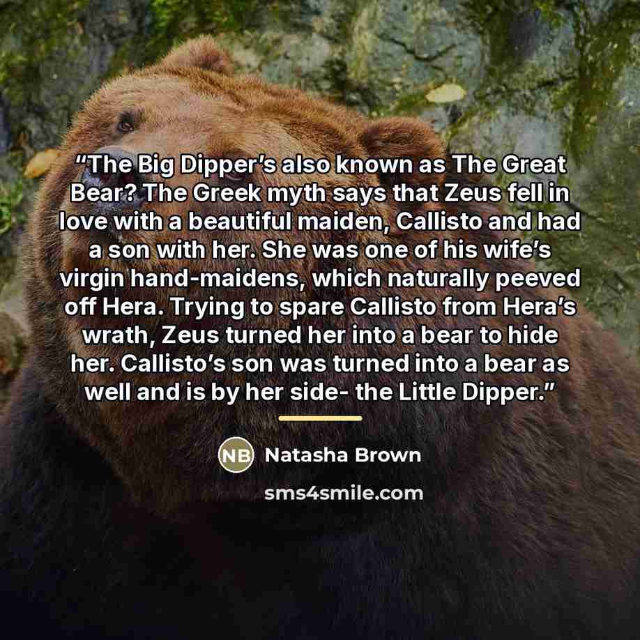 “The Big Dipper’s also known as The Great Bear? The Greek myth says that Zeus fell in love with a beautiful maiden, Callisto and had a son with her. She was one of his wife’s virgin hand-maidens, which naturally peeved off Hera. Trying to spare Callisto from Hera’s wrath, Zeus turned her into a…” quote by Natasha Brown