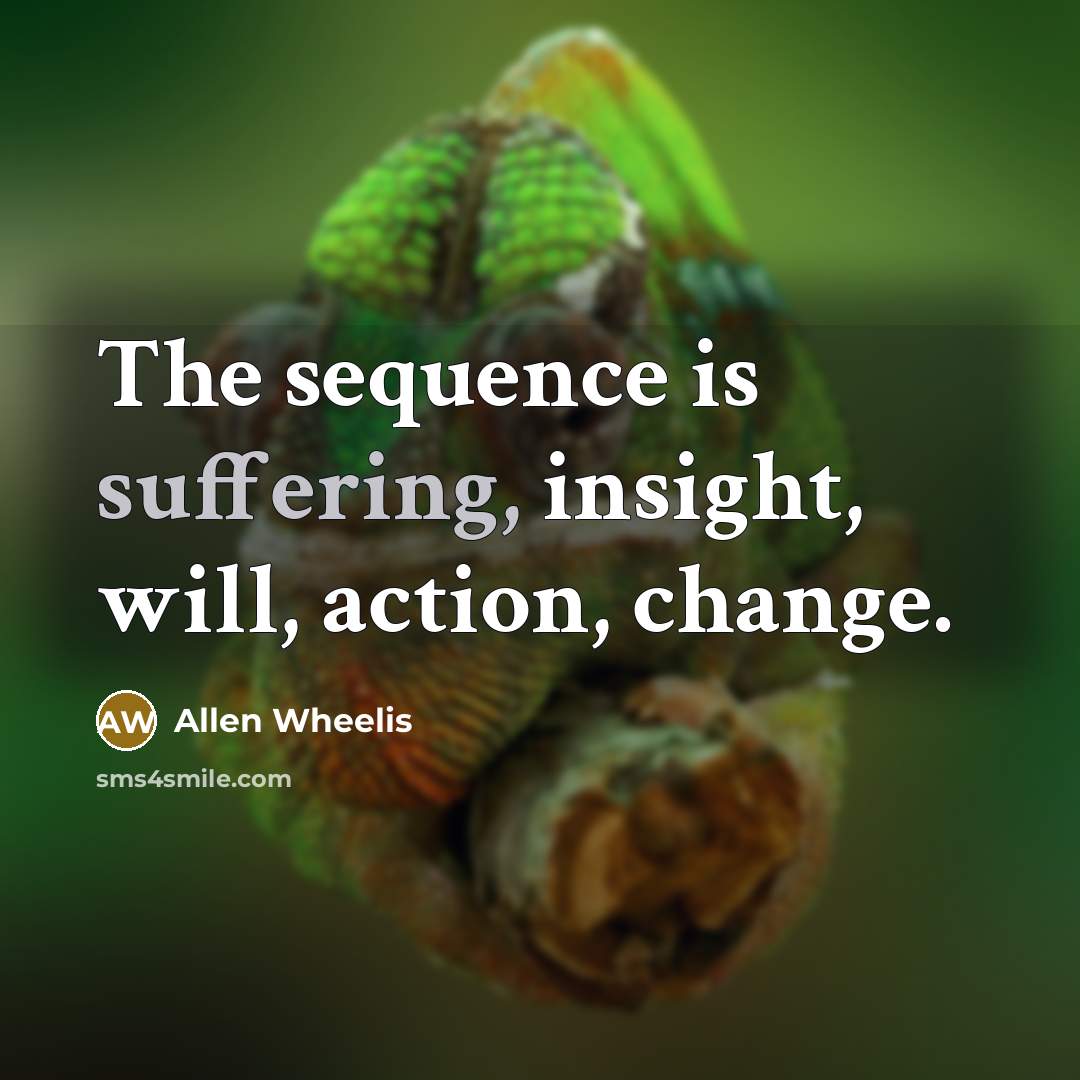 “The sequence is suffering, insight, will, action, change.” quote by Allen Wheelis