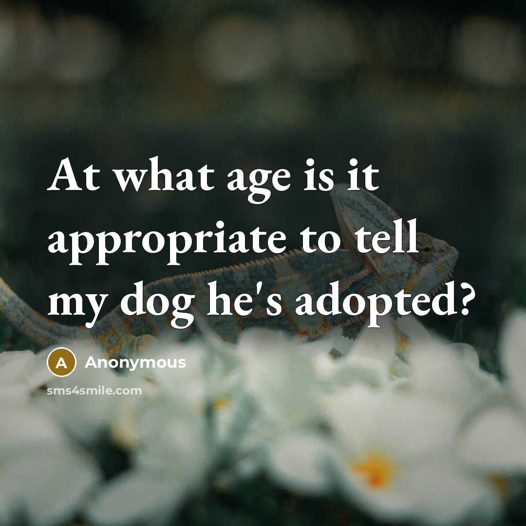 “At what age is it appropriate to tell my dog he's adopted?” quote by Anonymous