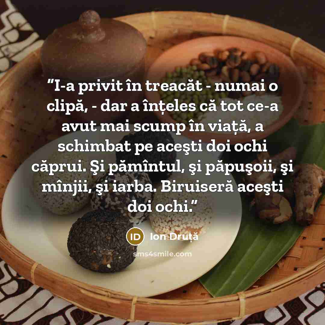 “I-a privit în treacăt - numai o clipă, - dar a înţeles că tot ce-a avut mai scump în viaţă, a schimbat pe aceşti doi ochi căprui. Şi pămîntul, şi păpuşoii, şi mînjii, şi iarba. Biruiseră aceşti doi ochi.” quote by Ion Druță