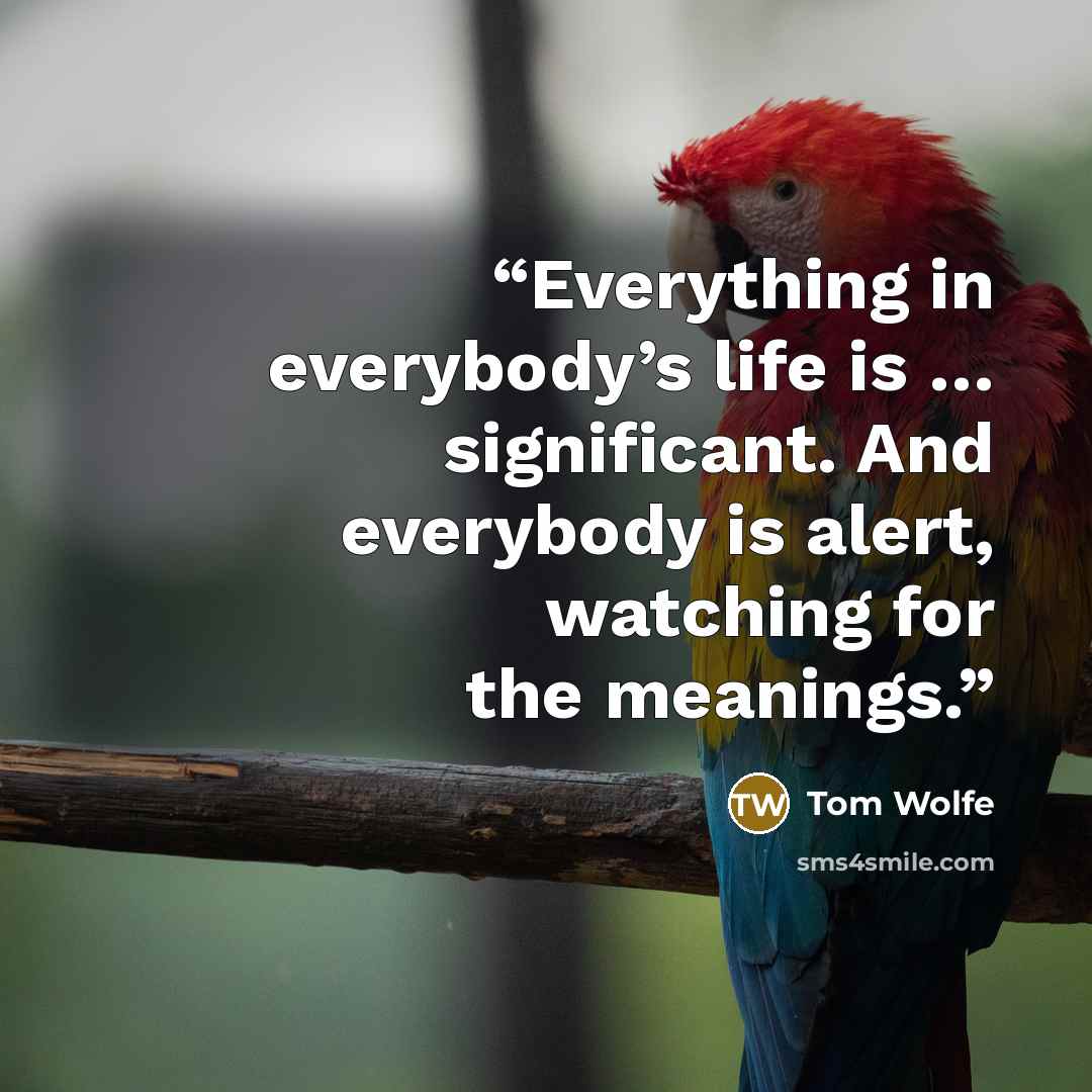 “Everything in everybody’s life is … significant. And everybody is alert, watching for the meanings.” quote by Tom Wolfe